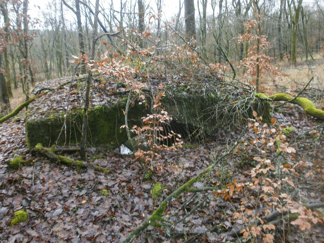 Ligne Maginot - HART (II/174° RMIF) - (PC de Quartier) - Le deuxième abri - jin jac