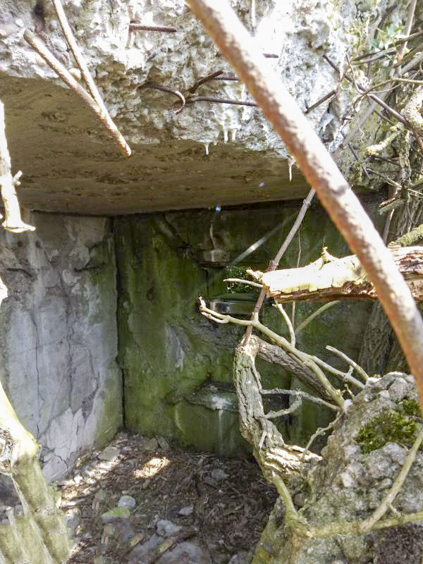 Ligne Maginot - GUEBENHOUSE 1 - (Blockhaus pour arme infanterie) -  - Jin Jac