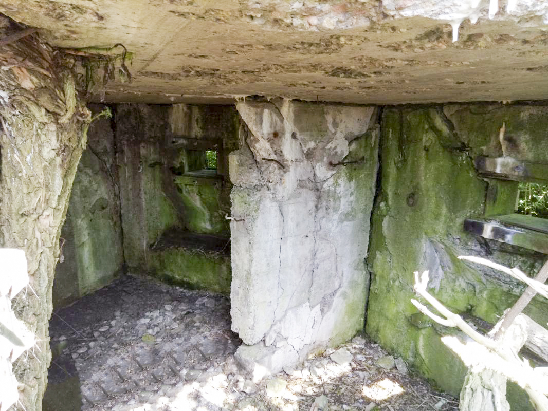 Ligne Maginot - GUEBENHOUSE 1 - (Blockhaus pour arme infanterie) -  - Jin Jac
