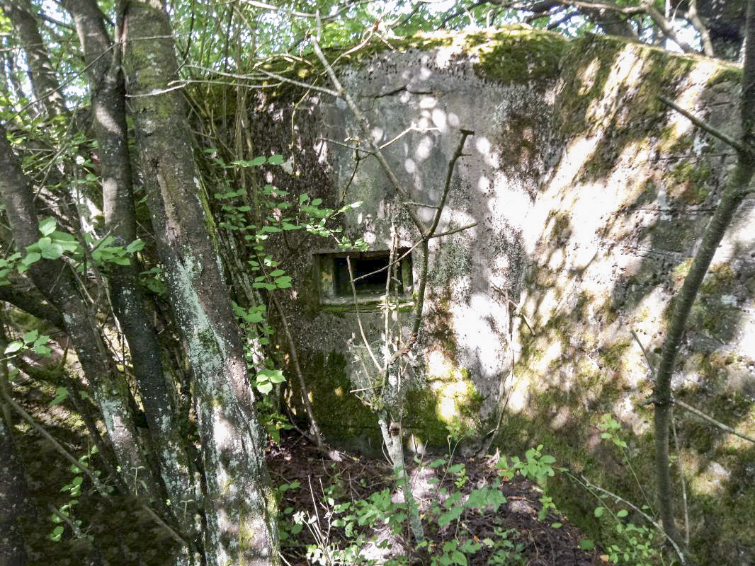 Ligne Maginot - GUEBENHOUSE 2 - (Blockhaus pour canon) -  - Jin Jac