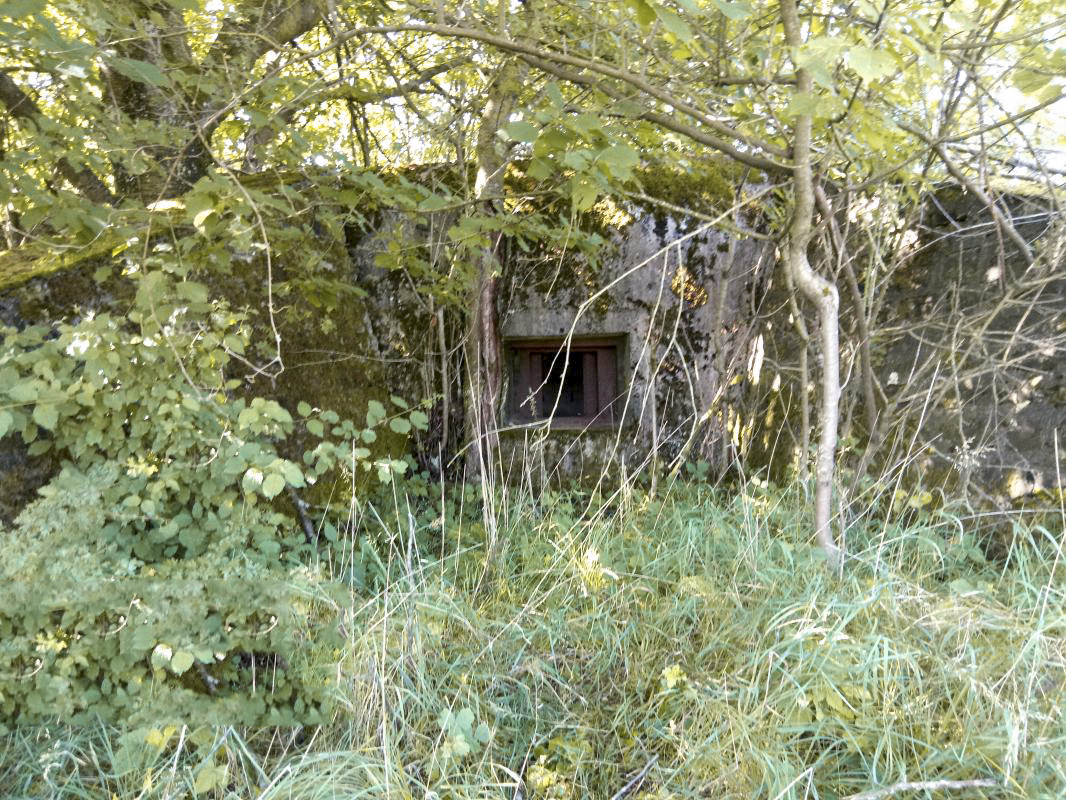 Ligne Maginot - GUEBENHOUSE 2 - (Blockhaus pour canon) -  - Jin Jac