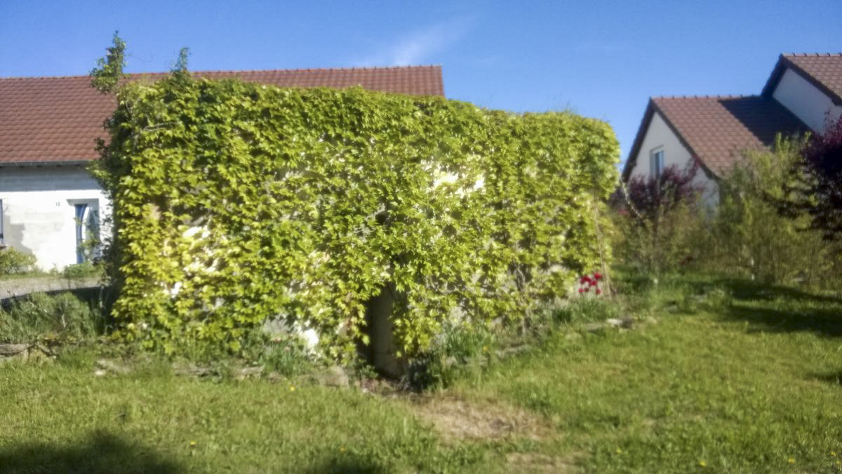 Ligne Maginot - COTE 250 2 - (Blockhaus pour arme infanterie) - Sur le terrain d’un particulier - jin jac