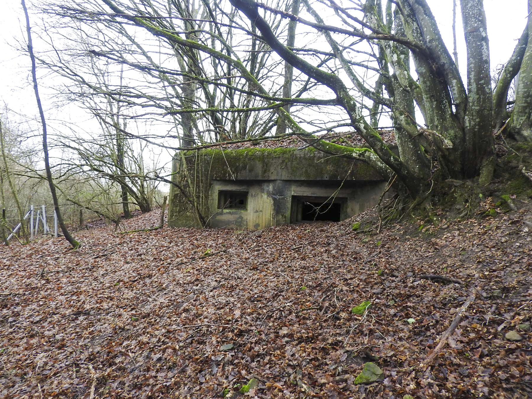 Ligne Maginot - MITTELSMUEHLE - (Blockhaus pour canon) - La façade de tir du blockhaus. - STENGER Mathieu