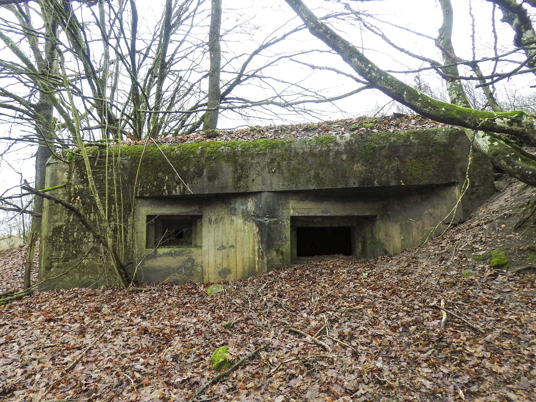 Ligne Maginot - MITTELSMUEHLE - (Blockhaus pour canon) - Les créneaux FM et canon antichar de flanquement NE. - STENGER Mathieu