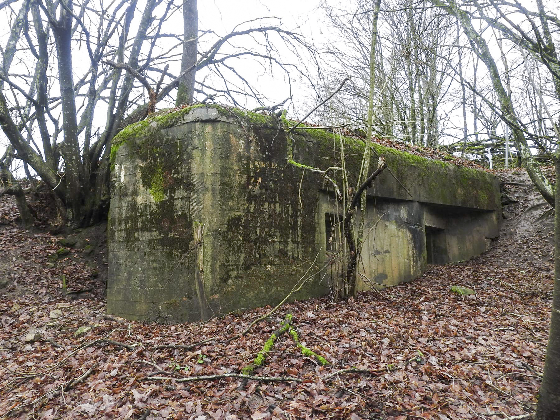 Ligne Maginot - MITTELSMUEHLE - (Blockhaus pour canon) -  - STENGER Mathieu