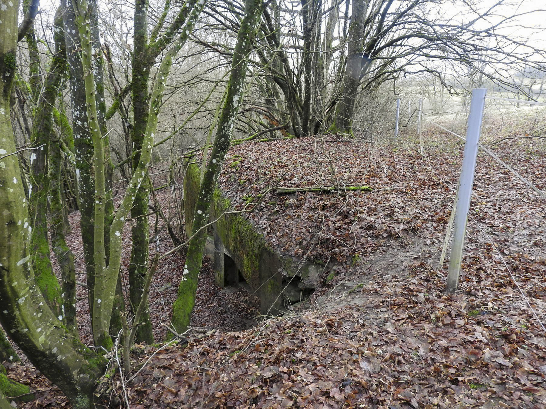 Ligne Maginot - MITTELSMUEHLE - (Blockhaus pour canon) - Une vue du dessus du blockhaus. - STENGER Mathieu