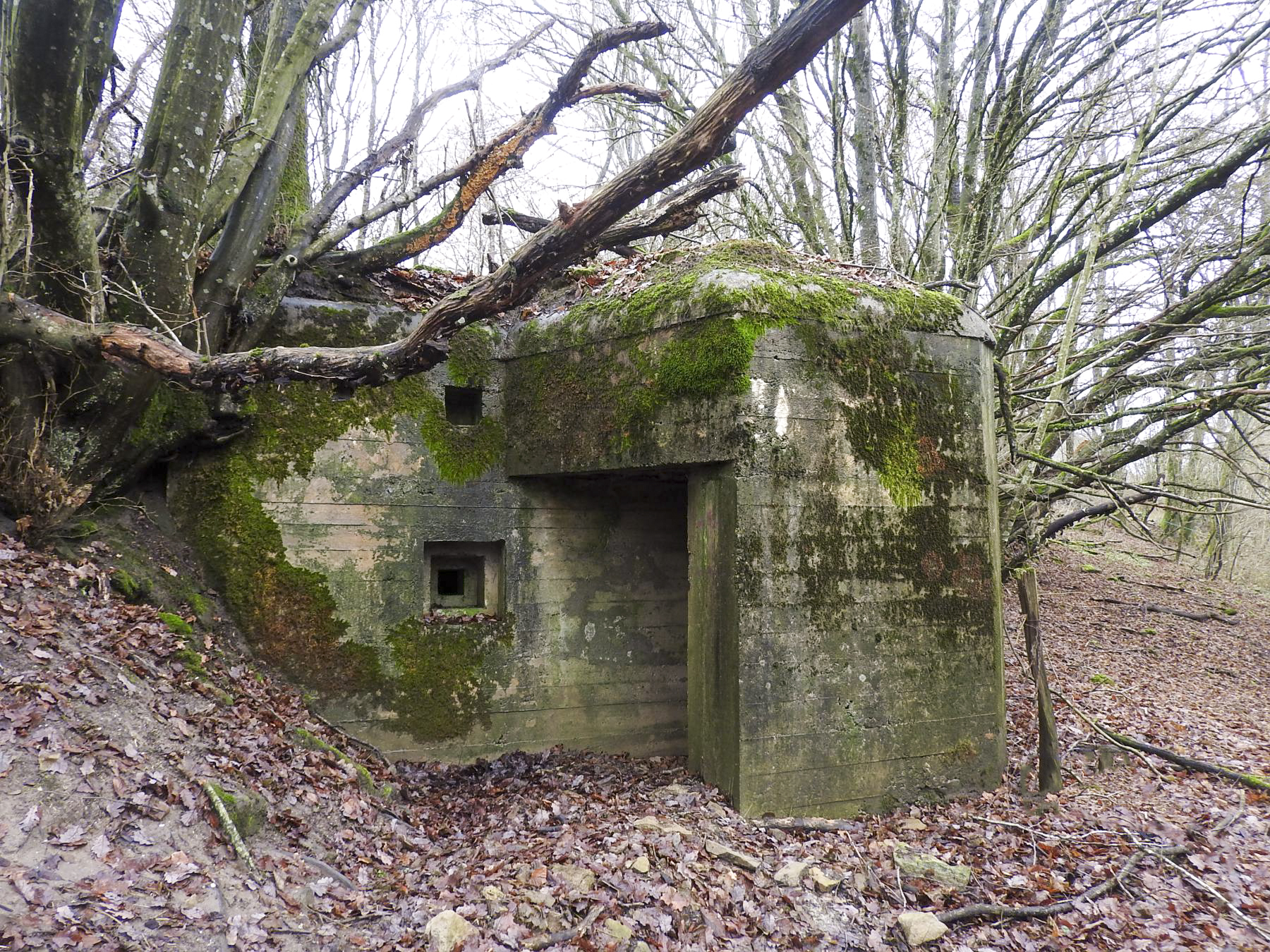 Ligne Maginot - MITTELSMUEHLE - (Blockhaus pour canon) - L'entrée hommes et le créneau de défense arrière. - STENGER Mathieu
