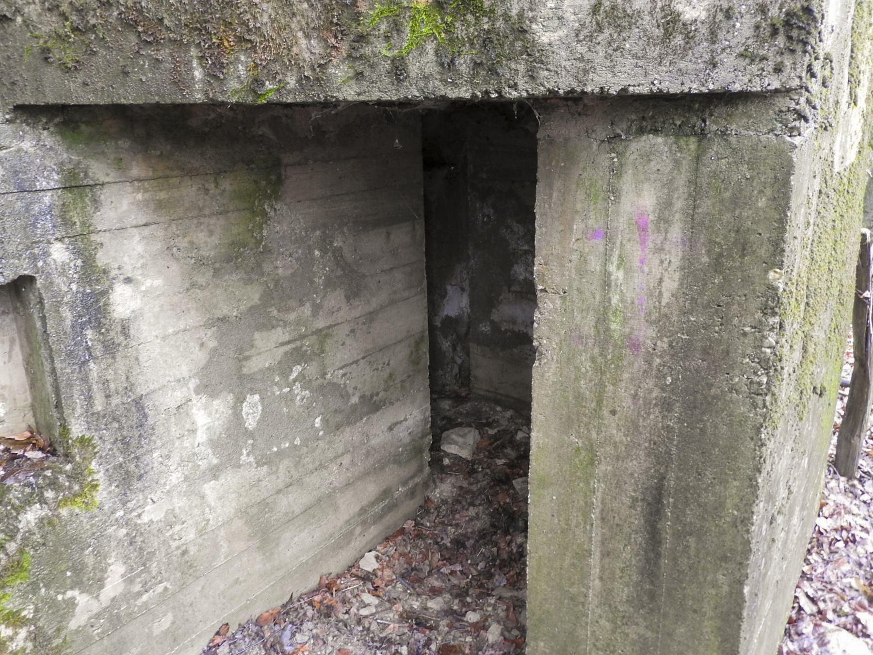 Ligne Maginot - MITTELSMUEHLE - (Blockhaus pour canon) - L'entrée hommes. - STENGER Mathieu