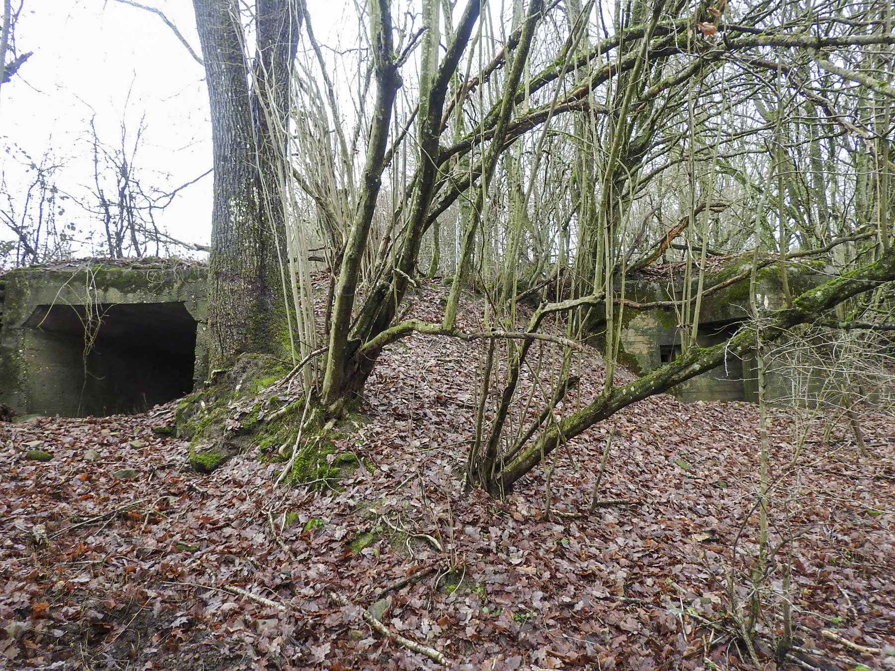 Ligne Maginot - MITTELSMUEHLE - (Blockhaus pour canon) - Une vue d'ensemble des deux entrées. - STENGER Mathieu