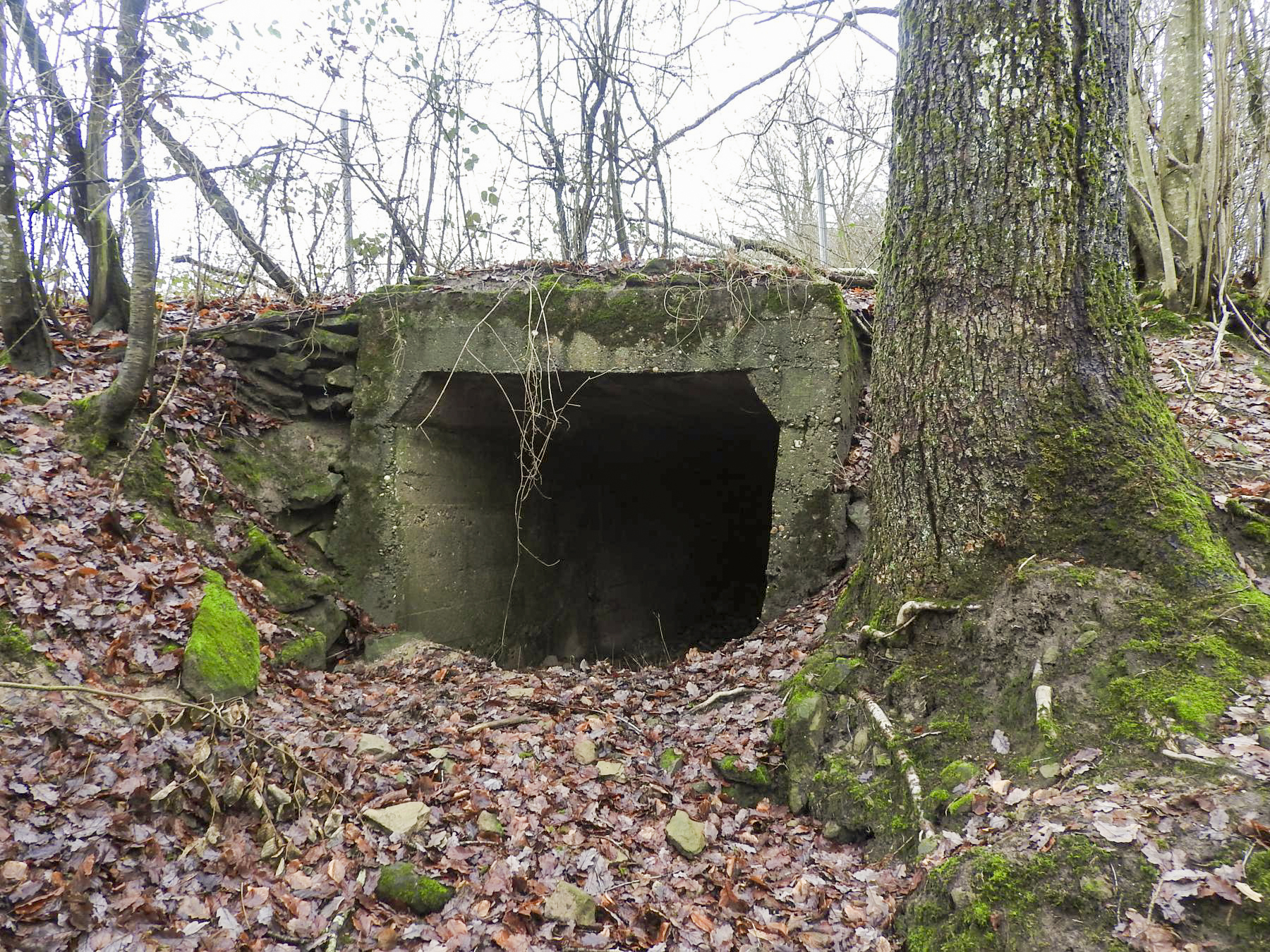 Ligne Maginot - MITTELSMUEHLE - (Blockhaus pour canon) - L'entrée matériel détachée du blockhaus. - STENGER Mathieu