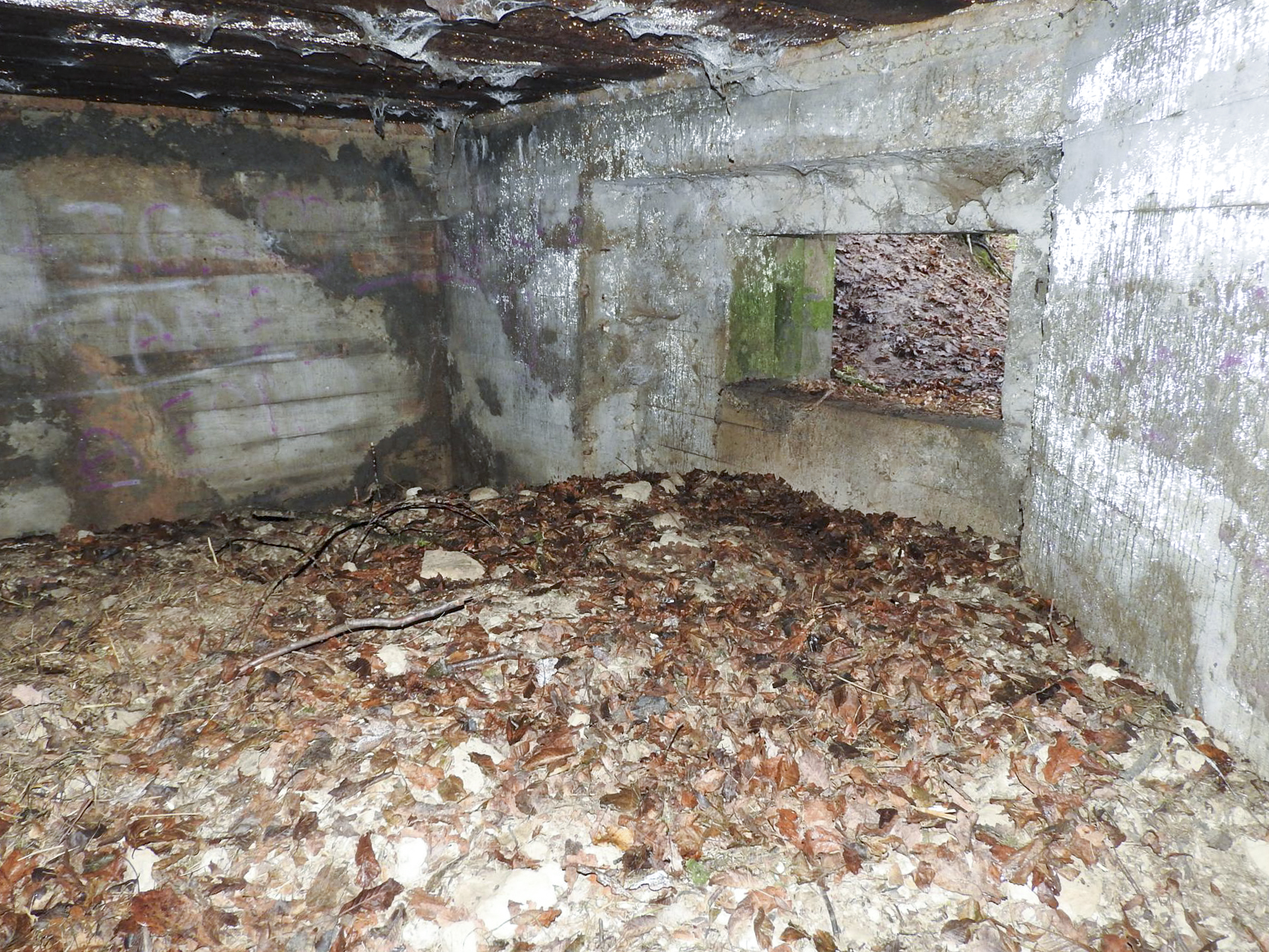 Ligne Maginot - MITTELSMUEHLE - (Blockhaus pour canon) - La chambre de tir du canon anti-char. - STENGER Mathieu
