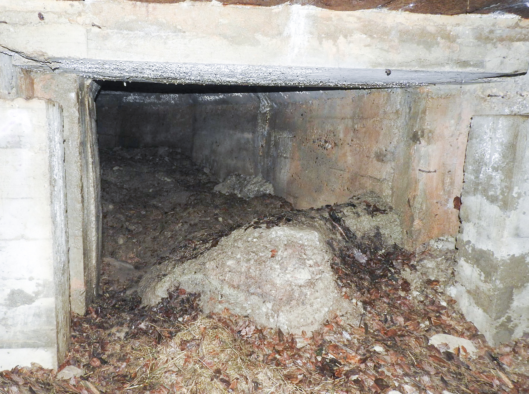 Ligne Maginot - MITTELSMUEHLE - (Blockhaus pour canon) - Le débouché de la galerie dans la chambre de tir. - STENGER Mathieu