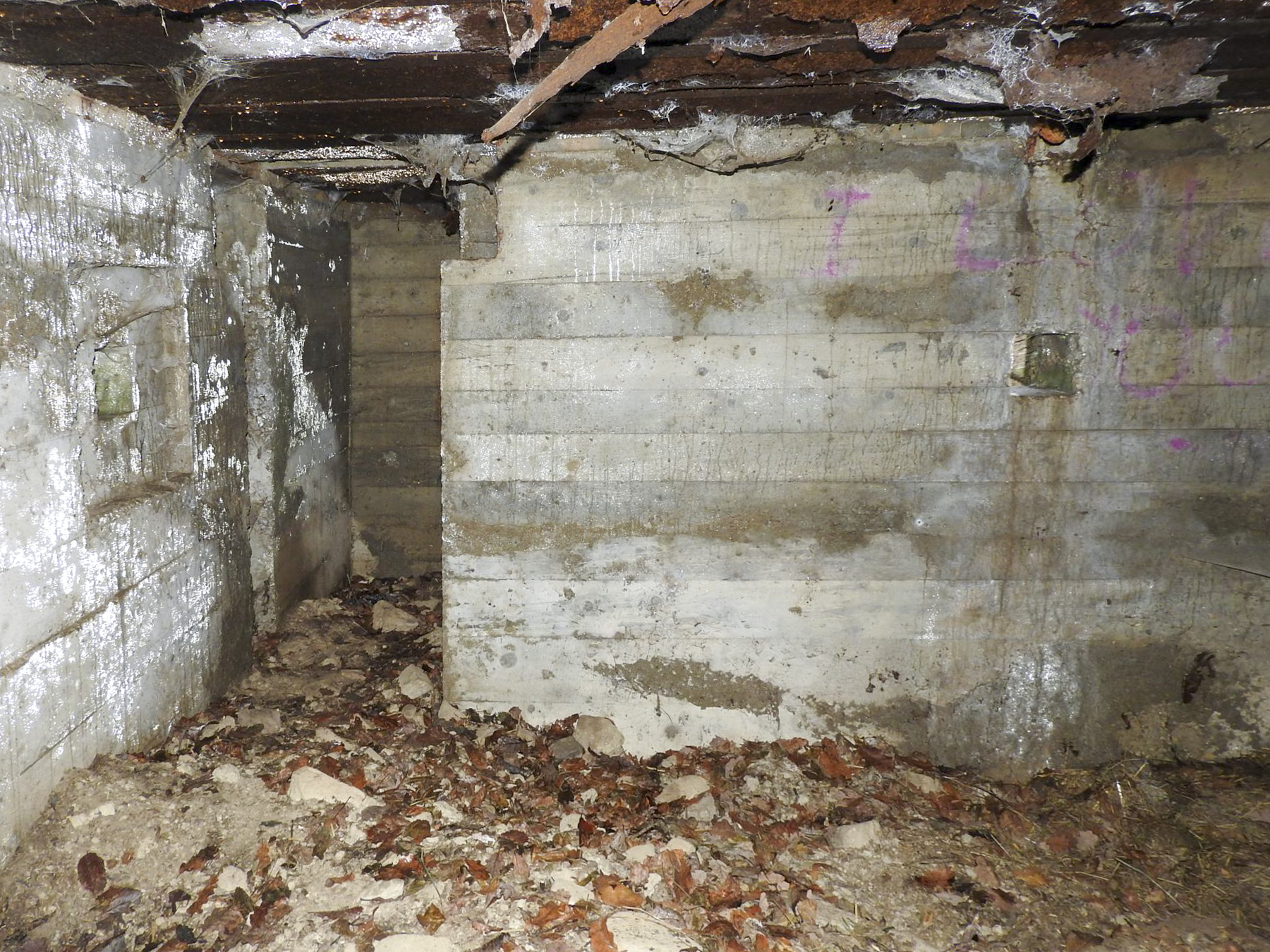 Ligne Maginot - MITTELSMUEHLE - (Blockhaus pour canon) - Le poste de tir du FM et l'entrée hommes. - STENGER Mathieu