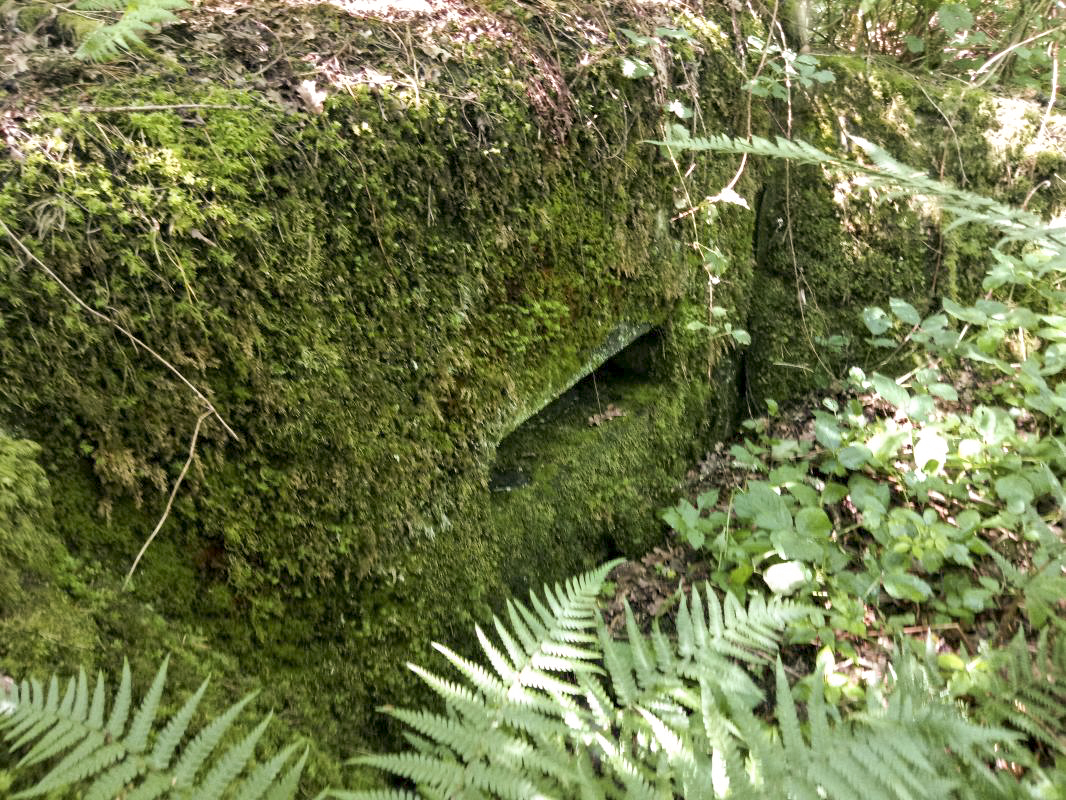 Ligne Maginot - ERNESTVILLER 3 - (Blockhaus de type indeterminé) -  - Jin Jac