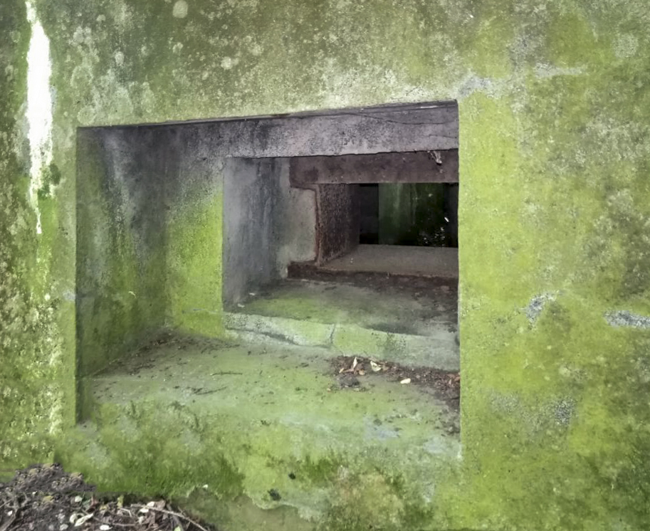 Ligne Maginot - ERNESTVILLER 4 - (Blockhaus pour arme infanterie) - Face Est - jin jac