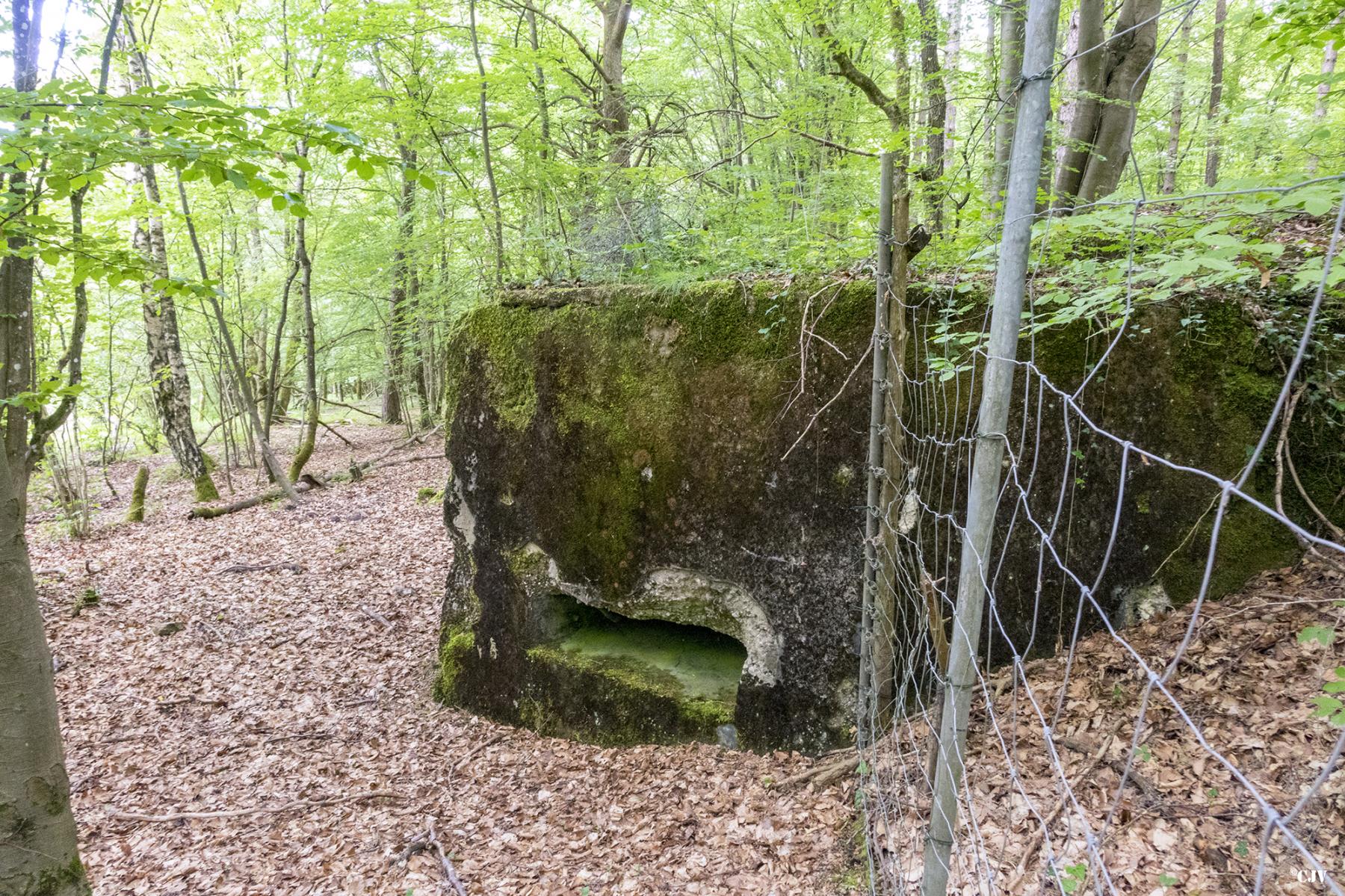 Ligne Maginot - HART OUEST 1 - (Observatoire indeterminé) -  - Lia VERMEULEN