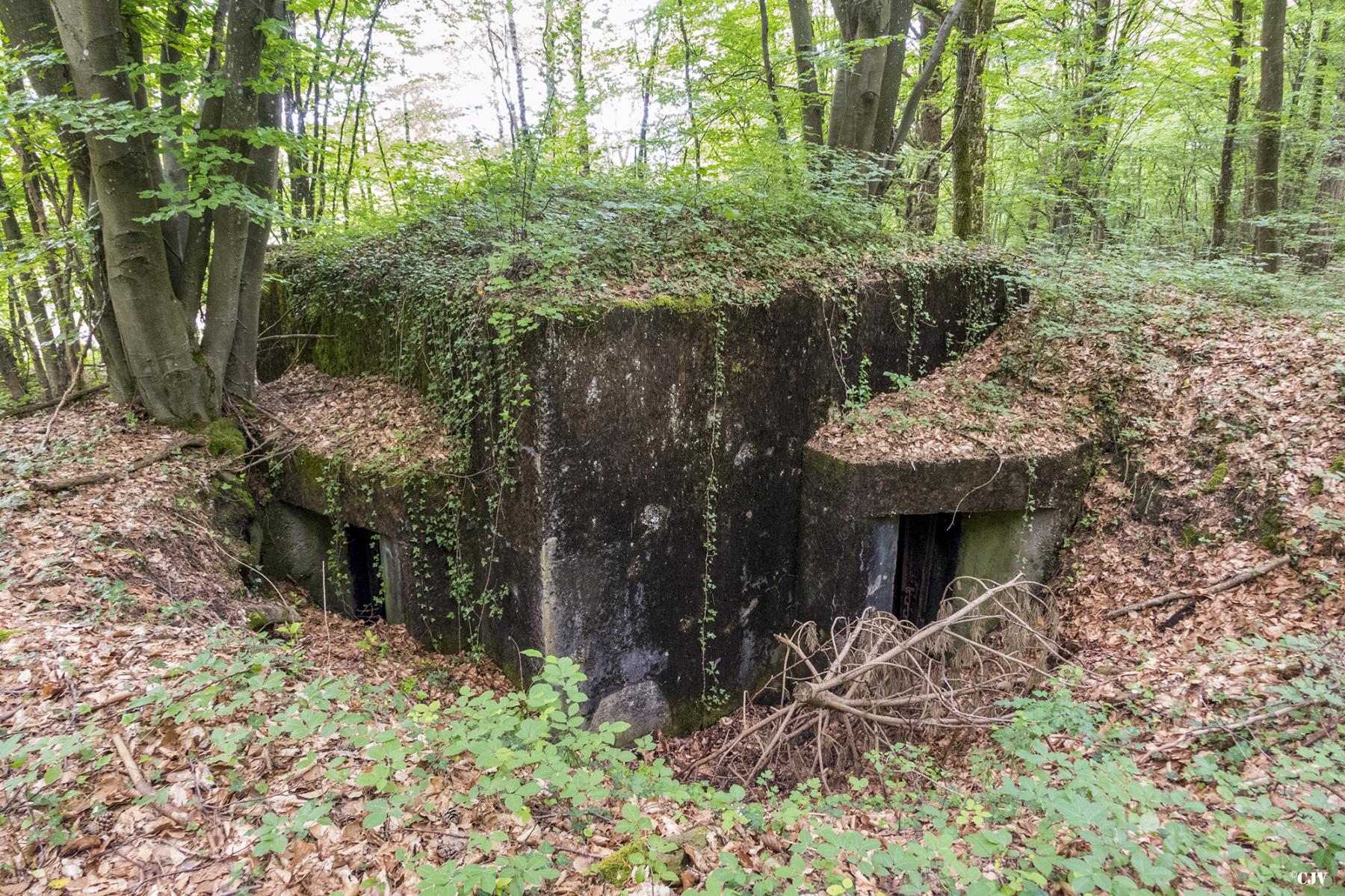 Ligne Maginot - HART OUEST 1 - (Observatoire indeterminé) -  - Lia VERMEULEN