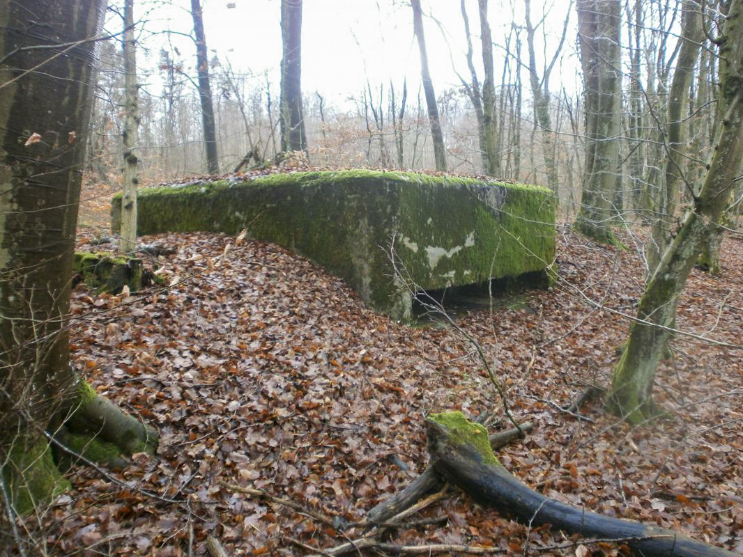 Ligne Maginot - HART OUEST 5 - (Observatoire d'infanterie) -  - jin jac