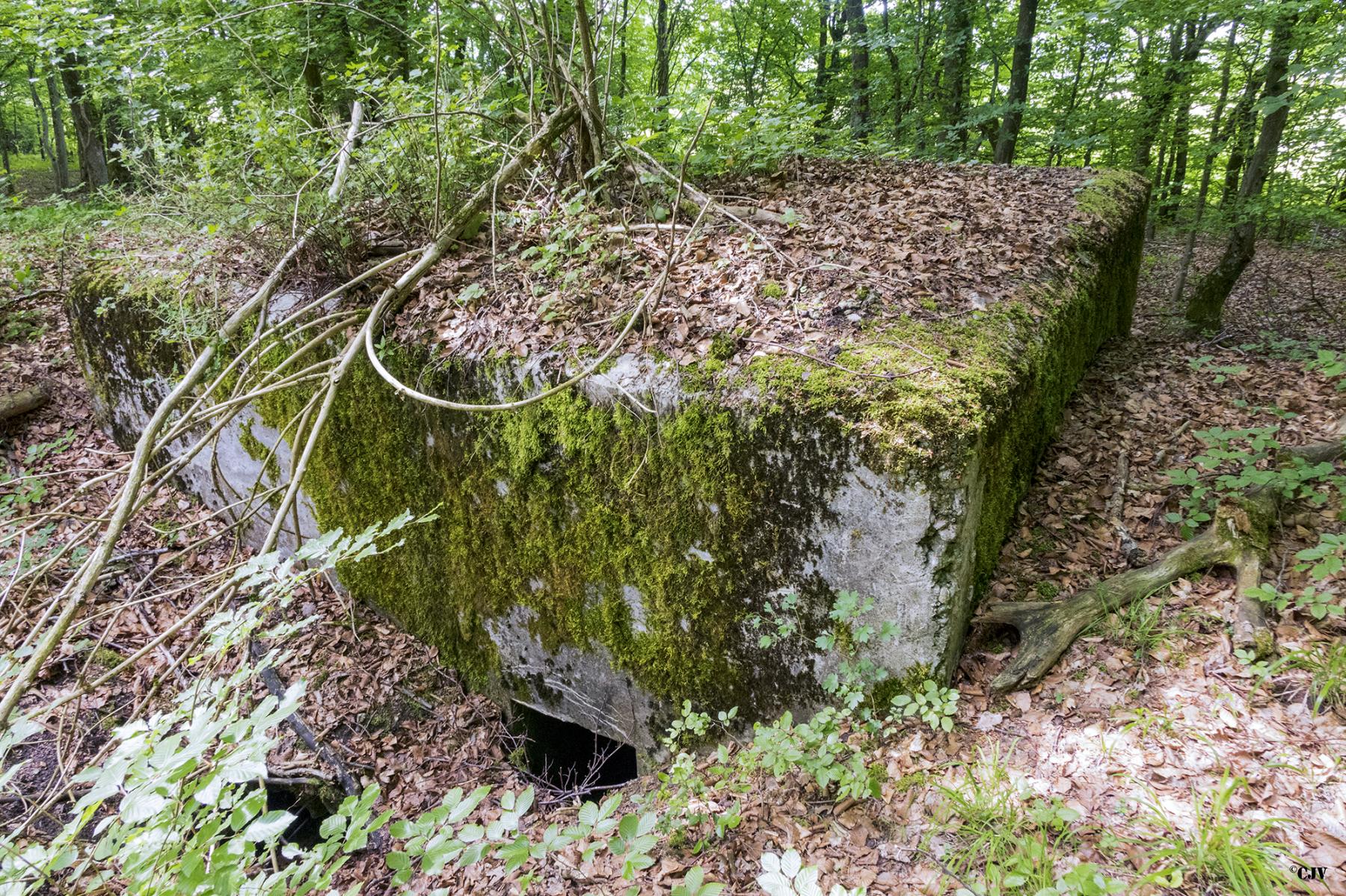 Ligne Maginot - HART OUEST 5 - (Observatoire d'infanterie) -  - Lia VERMEULEN