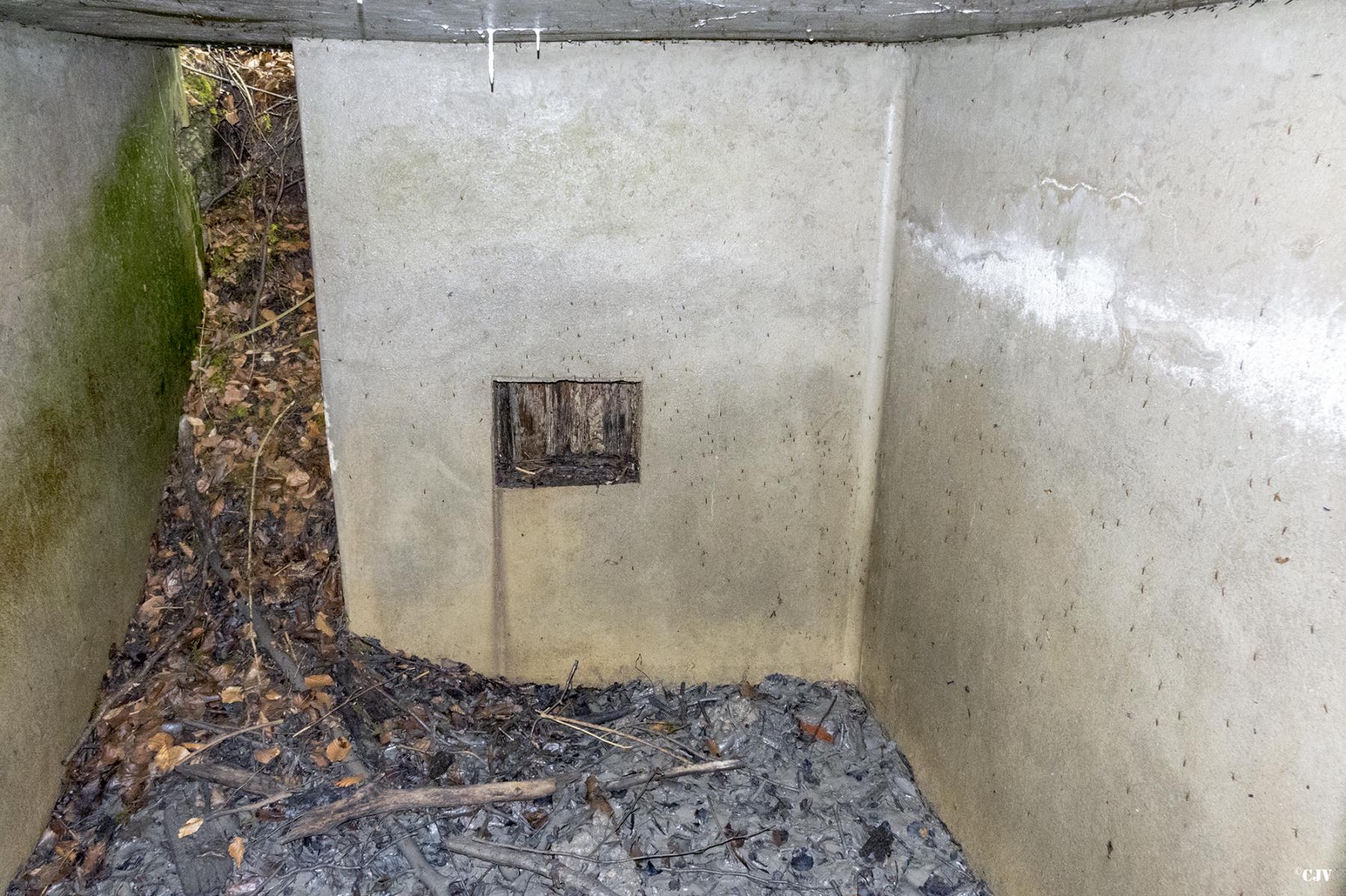Ligne Maginot - HART OUEST 5 - (Observatoire d'infanterie) - L'entrée vu depuis le créneau - Lia VERMEULEN