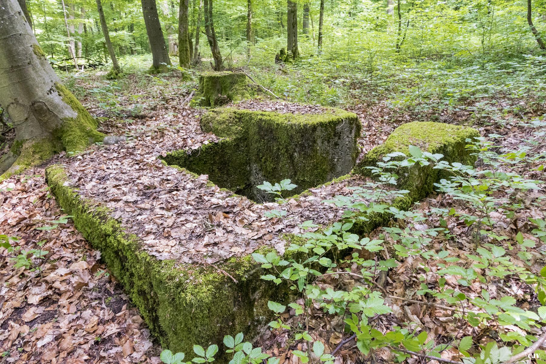 Ligne Maginot - HART OUEST 4 - (Observatoire d'infanterie) -  - Lia VERMEULEN