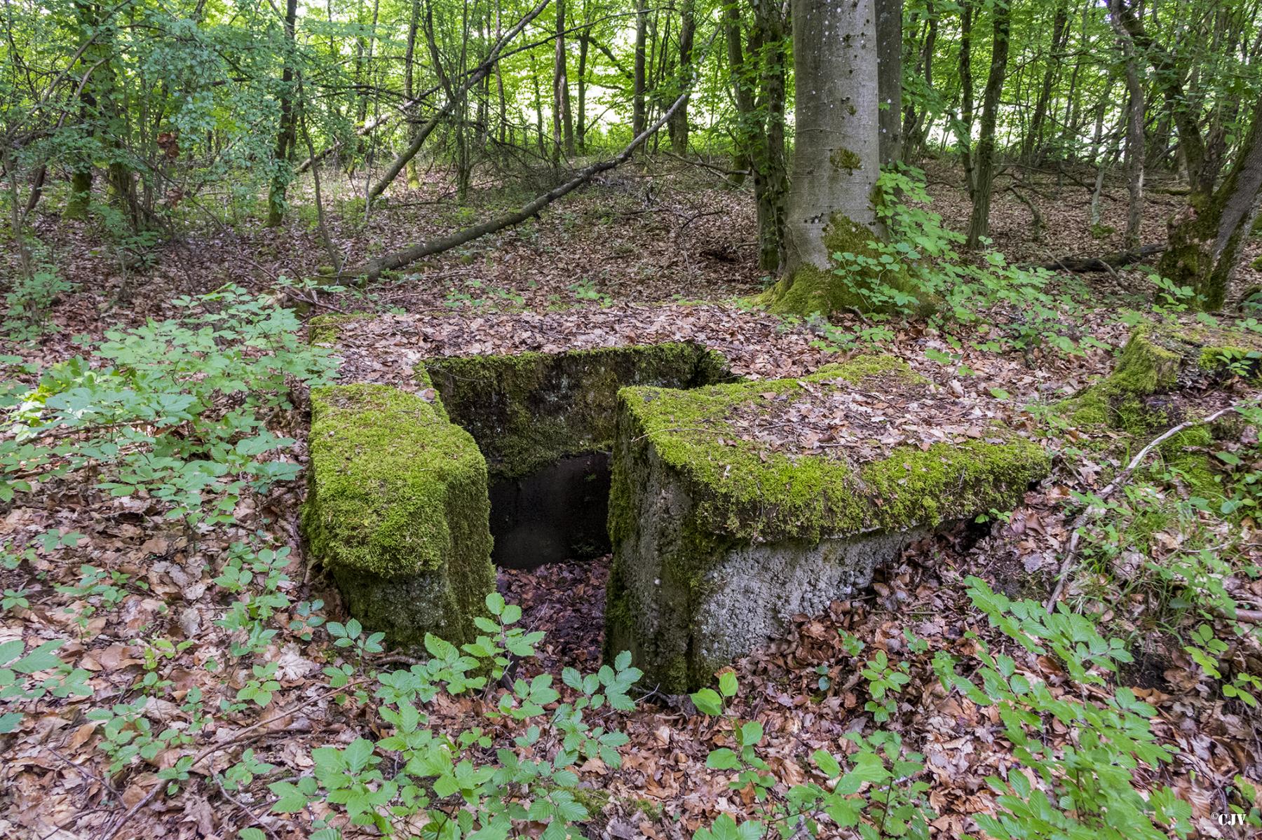 Ligne Maginot - HART OUEST 4 - (Observatoire d'infanterie) -  - Lia VERMEULEN