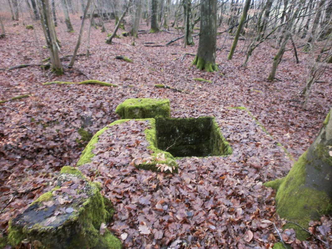 Ligne Maginot - HART OUEST 4 - (Observatoire d'infanterie) -  - jin jac