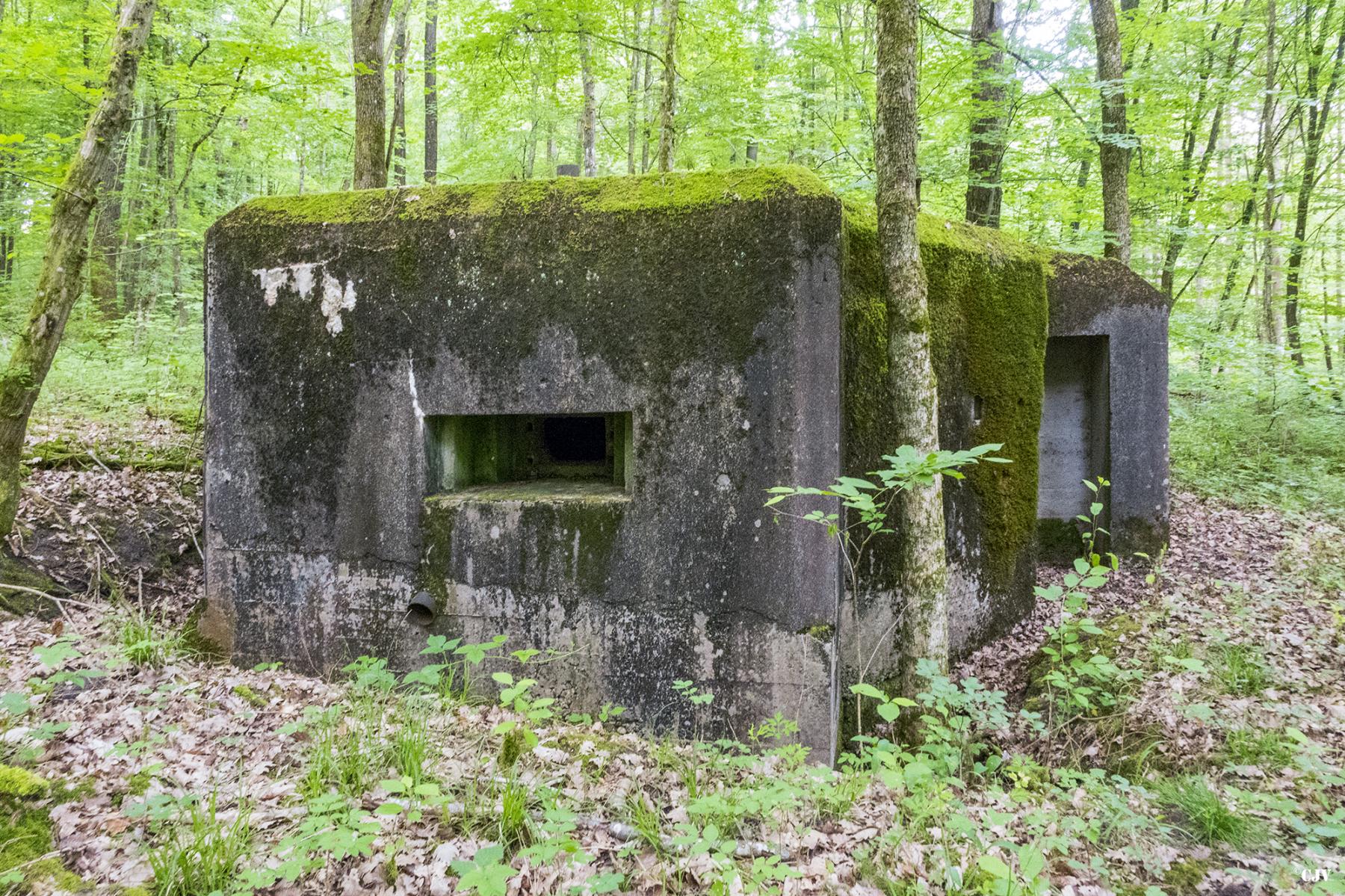 Ligne Maginot - HART OUEST 3 - (Blockhaus pour arme infanterie) -  - Lia VERMEULEN