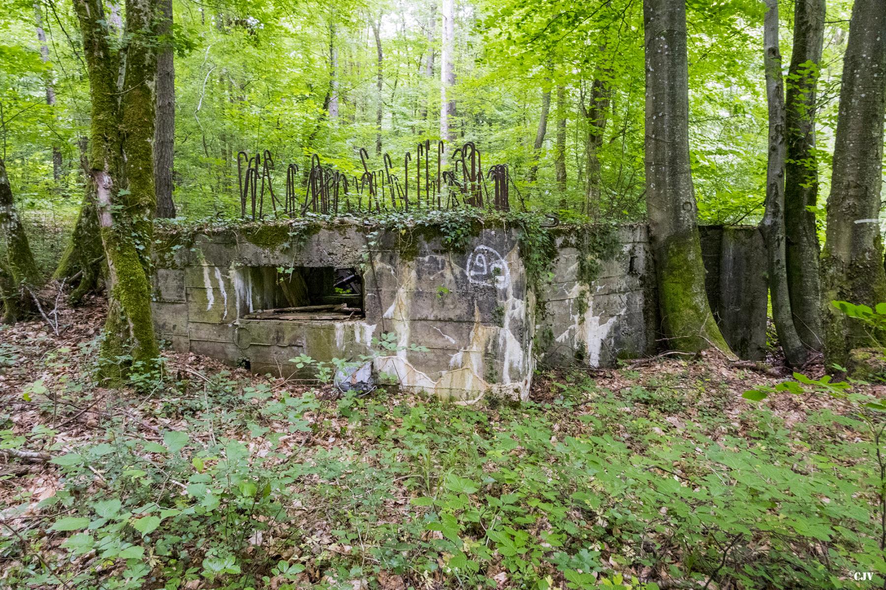 Ligne Maginot - HART OUEST 2 - (Blockhaus pour arme infanterie) -  - Lia VERMEULEN