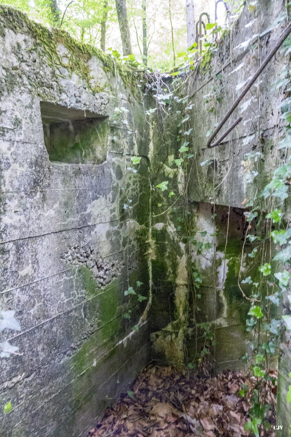 Ligne Maginot - HART OUEST 2 - (Blockhaus pour arme infanterie) -  - Lia VERMEULEN