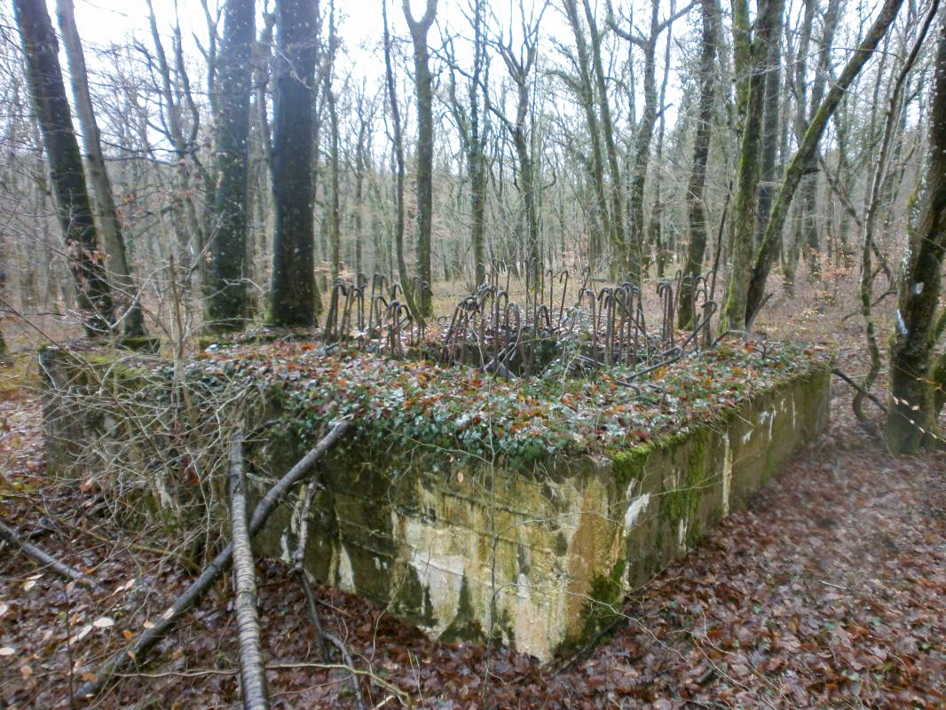 Ligne Maginot - HART OUEST 2 - (Blockhaus pour arme infanterie) -  - jin jac
