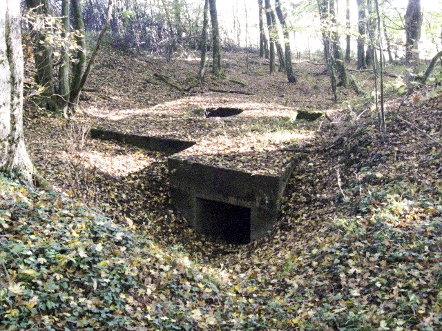 Ligne Maginot - HELLENWALD 2 - (Blockhaus pour arme infanterie) - Vue d'ensemble - Christian LENHARD