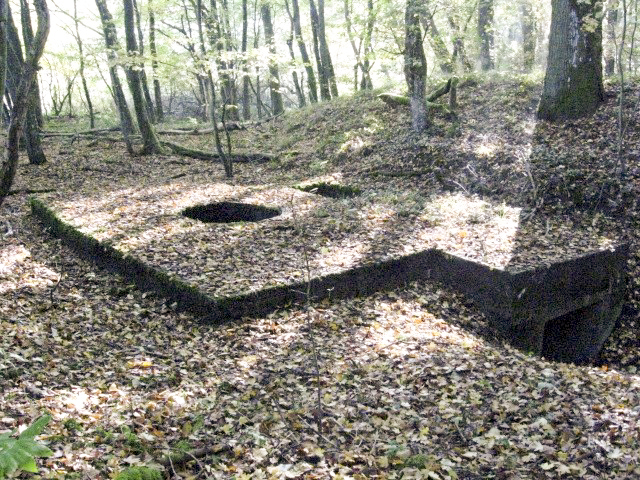 Ligne Maginot - HELLENWALD 2 - (Blockhaus pour arme infanterie) - Vue d'ensemble - Christian LENHARD