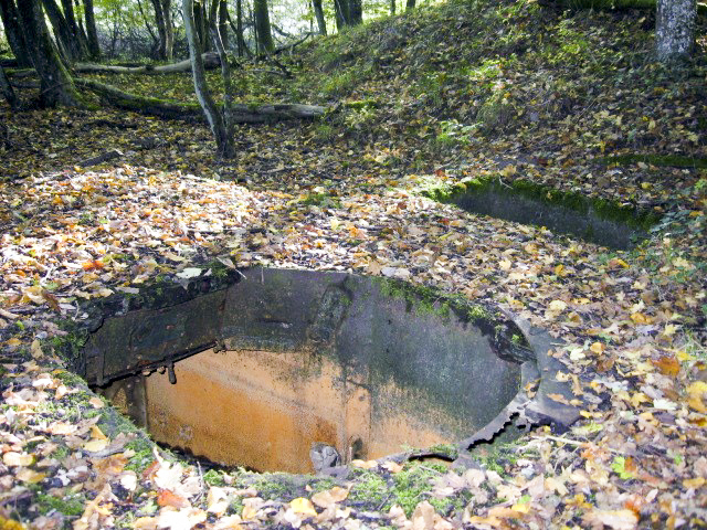 Ligne Maginot - HELLENWALD 2 - (Blockhaus pour arme infanterie) - L'emplacement de la tourelle et la fosse douilles - Christian LENHARD