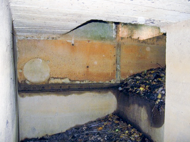 Ligne Maginot - HELLENWALD 2 - (Blockhaus pour arme infanterie) - L'accès au char - Christian LENHARD