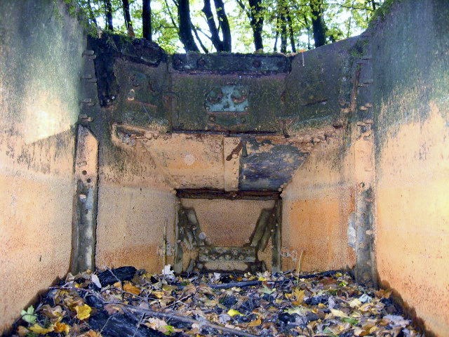 Ligne Maginot - HELLENWALD 2 - (Blockhaus pour arme infanterie) - La carcasse du char - Christian LENHARD