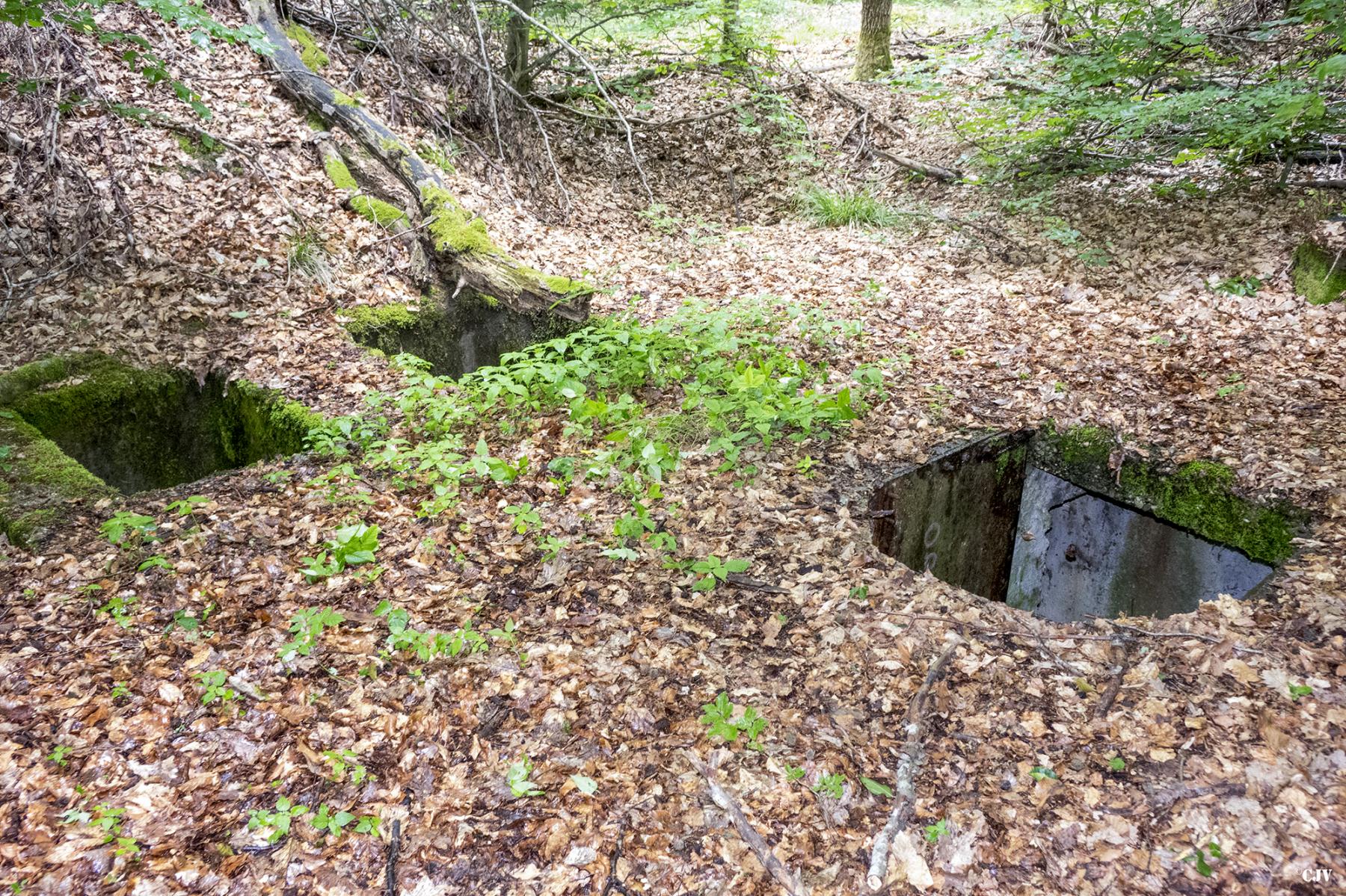 Ligne Maginot - HELLENWALD 3 (CHAR FT) - (Blockhaus pour arme infanterie) -  - Lia VERMEULEN