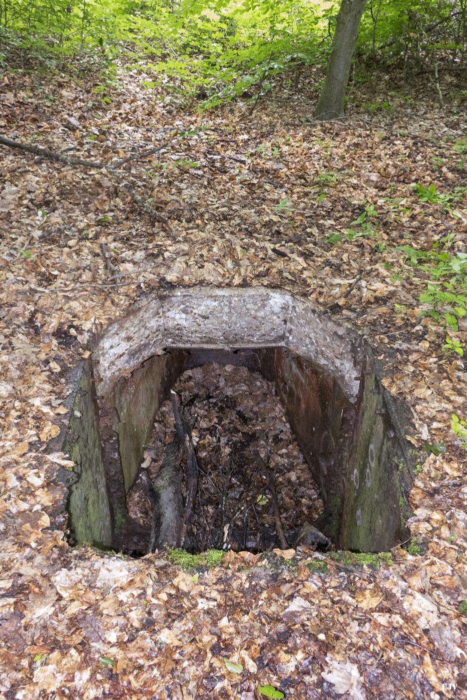 Ligne Maginot - HELLENWALD 3 (CHAR FT) - (Blockhaus pour arme infanterie) - Ce qu'il reste du char - Lia VERMEULEN