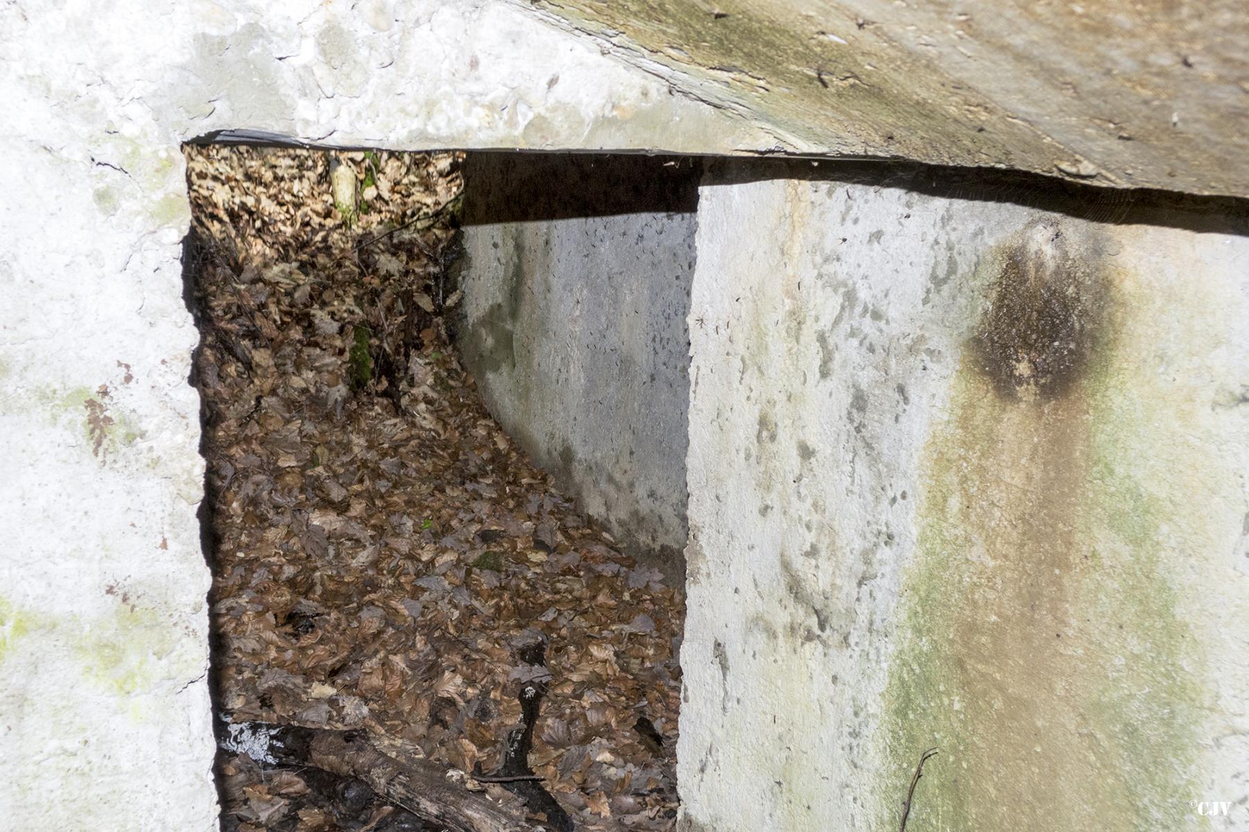 Ligne Maginot - HELLENWALD 3 (CHAR FT) - (Blockhaus pour arme infanterie) - L'entrée est obstrué - Lia VERMEULEN