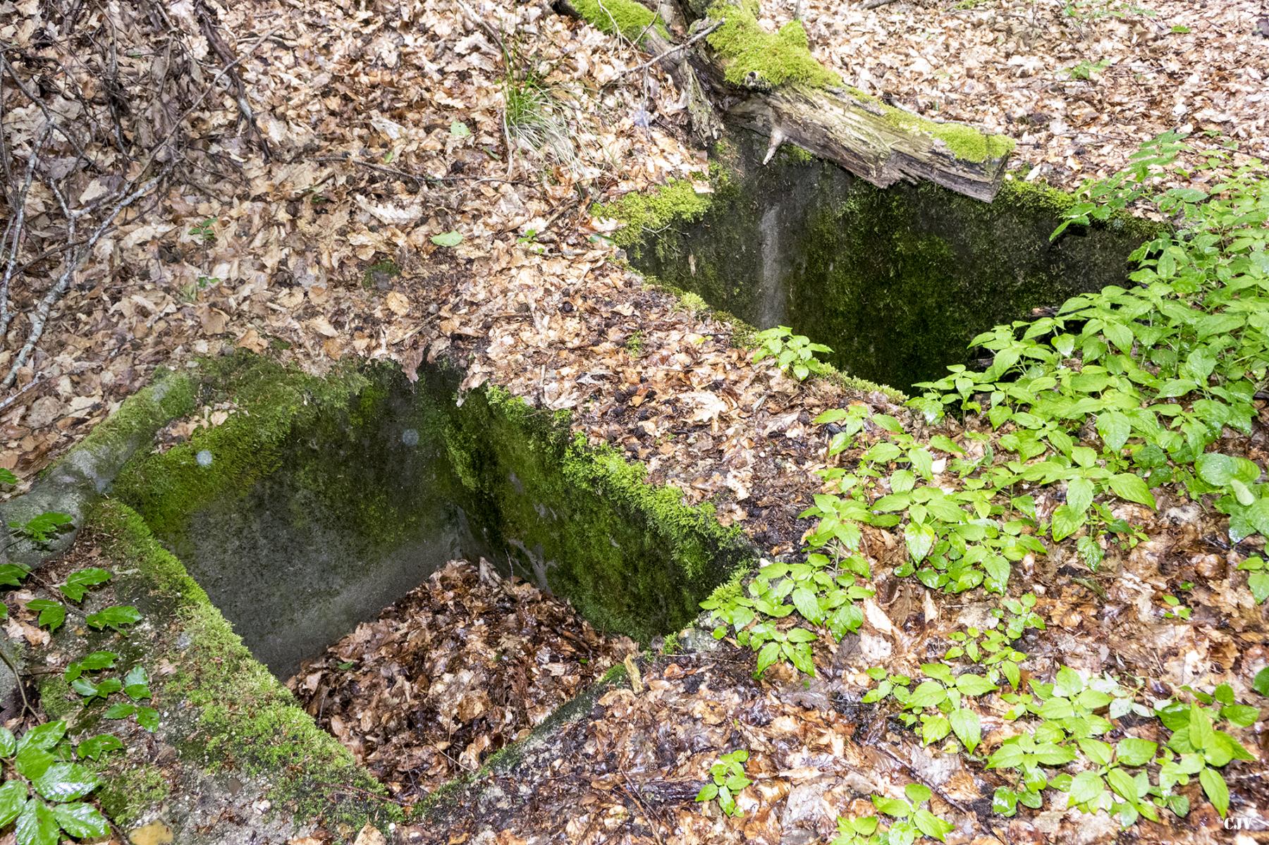 Ligne Maginot - HELLENWALD 3 (CHAR FT) - (Blockhaus pour arme infanterie) - Deux cuves - Lia VERMEULEN