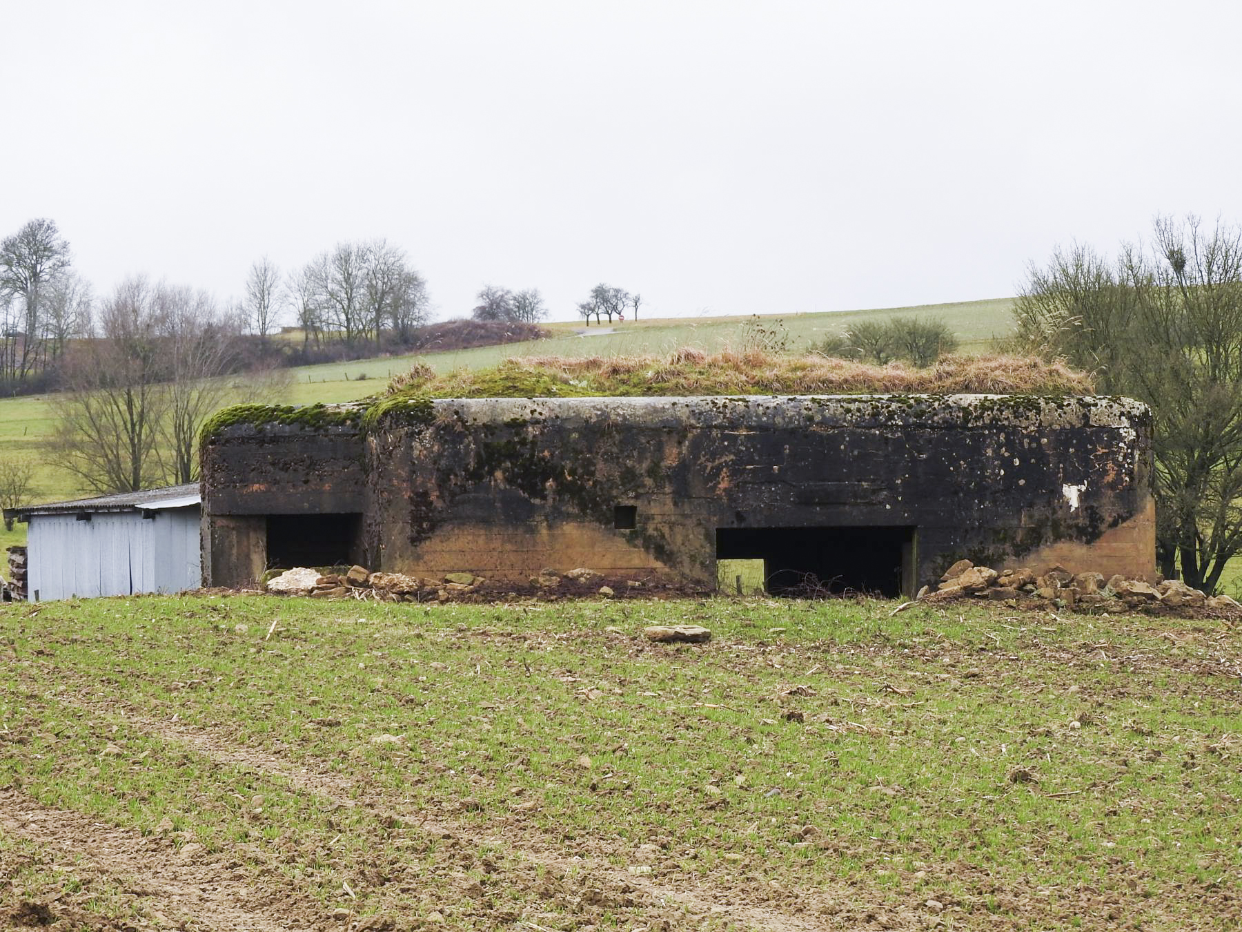 Ligne Maginot - MITTELSMUEHLE OUEST - (Blockhaus pour canon) - La façade arrière du blockhaus. - STENGER Mathieu