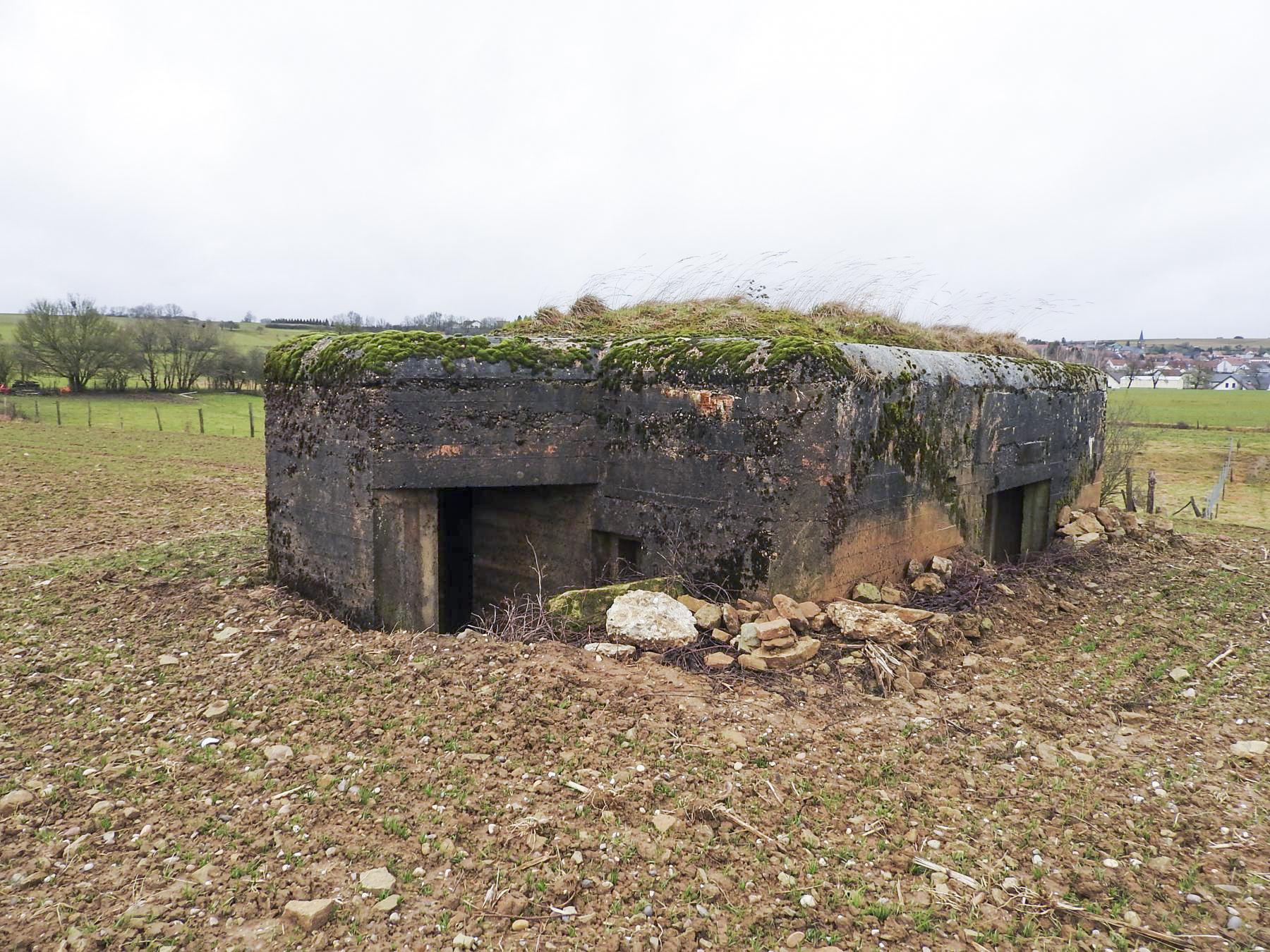 Ligne Maginot - MITTELSMUEHLE OUEST - (Blockhaus pour canon) - L'entrée des hommes. - STENGER Mathieu