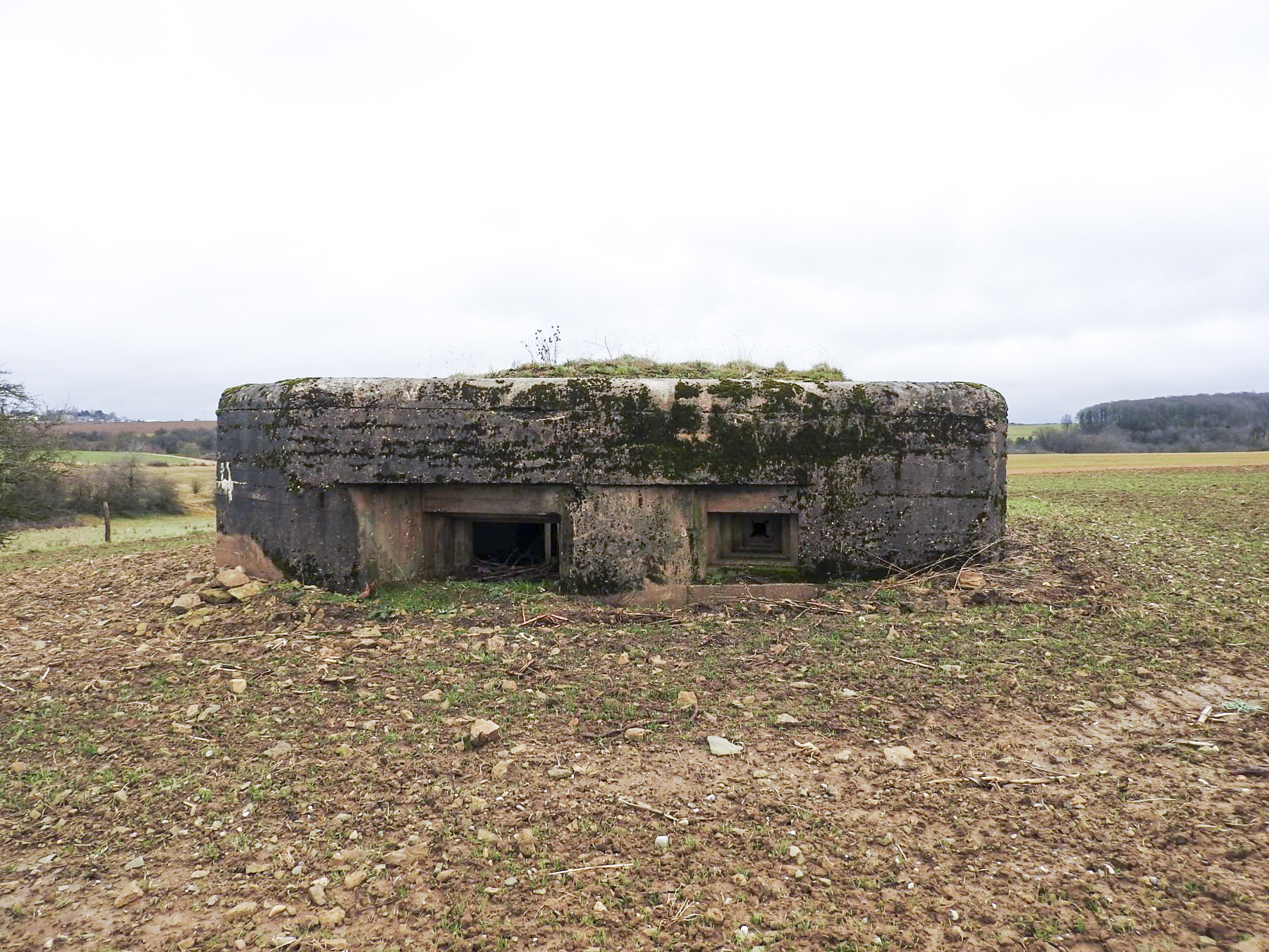 Ligne Maginot - MITTELSMUEHLE OUEST - (Blockhaus pour canon) - La façade de tir. - STENGER Mathieu