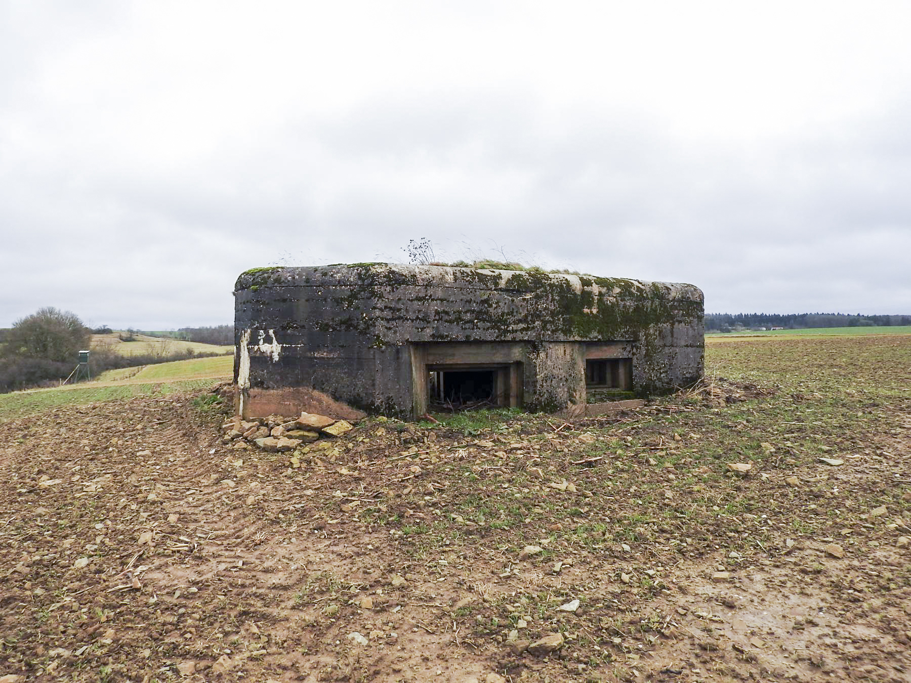 Ligne Maginot - MITTELSMUEHLE OUEST - (Blockhaus pour canon) - La façade de tir. - STENGER Mathieu