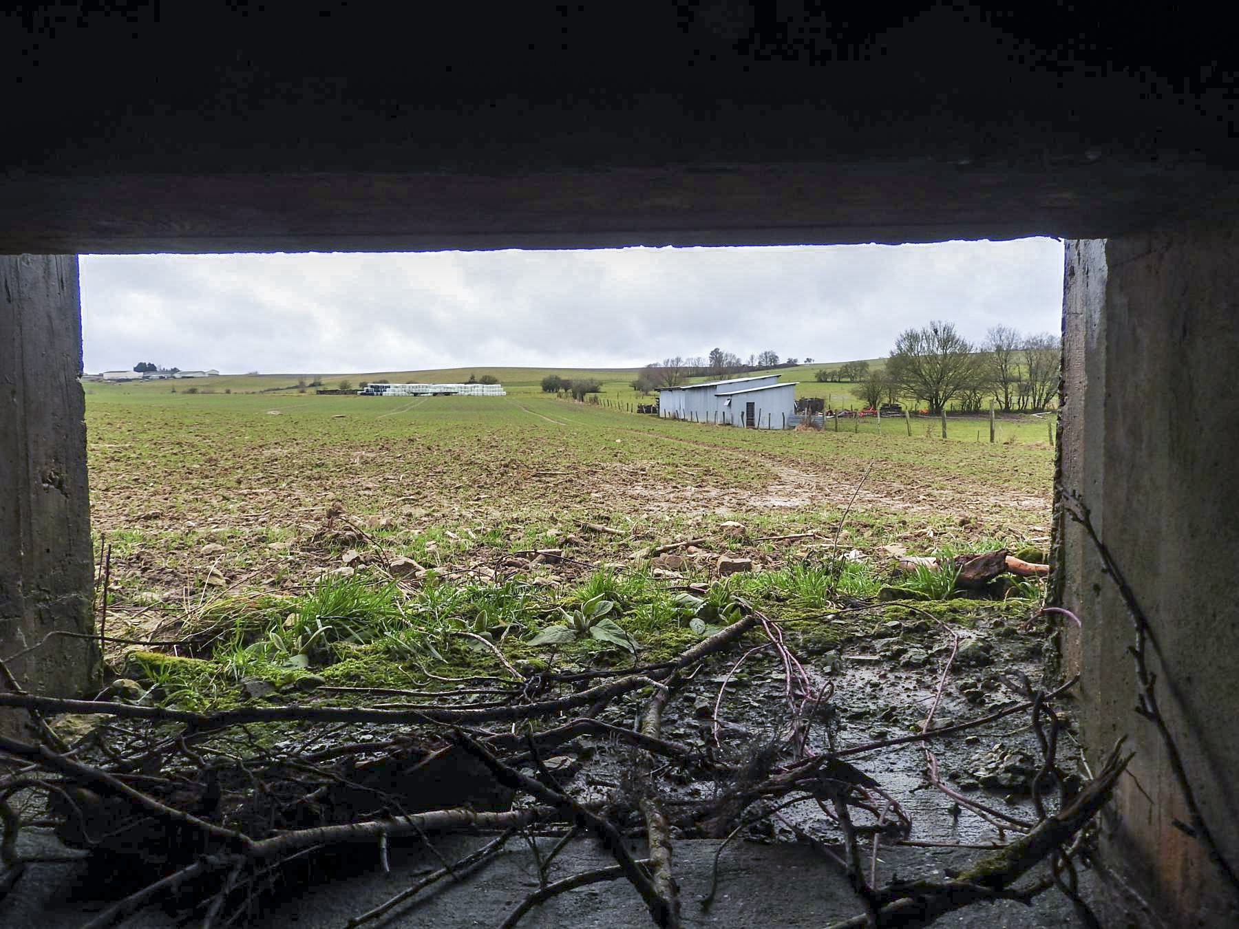 Ligne Maginot - MITTELSMUEHLE OUEST - (Blockhaus pour canon) - Le champ de tir du canon anti-char. - STENGER Mathieu
