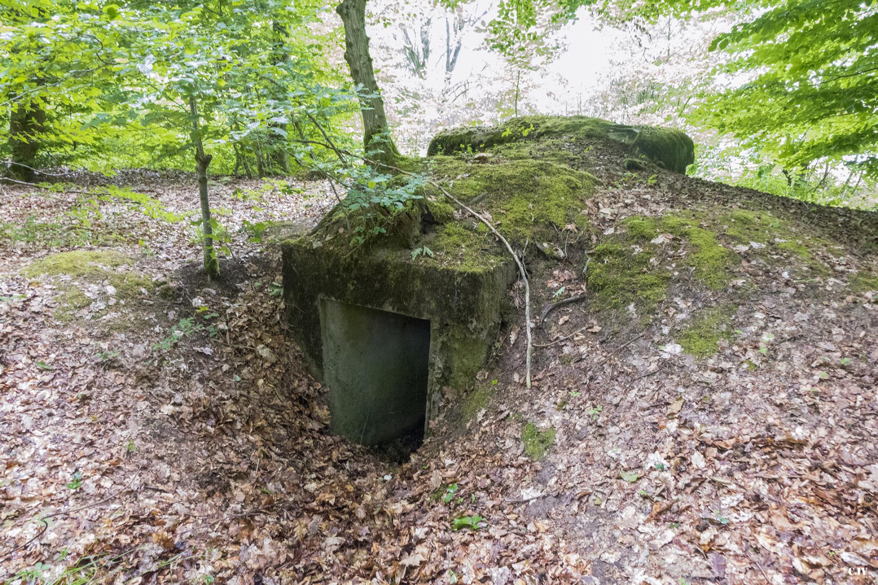 Ligne Maginot - HELLENWALD 4 - (Observatoire d'infanterie) - L'entrée - Lia VERMEULEN