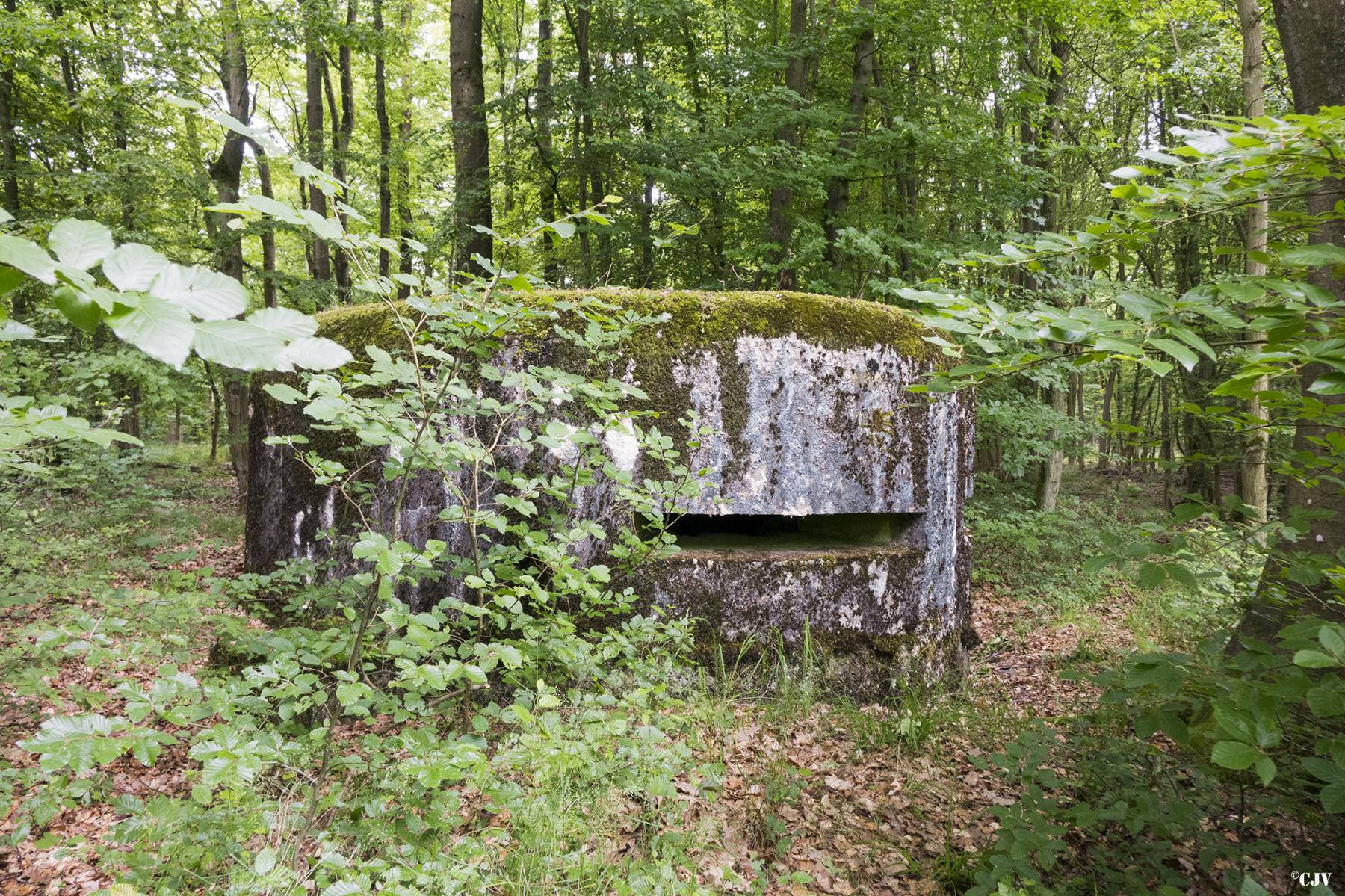 Ligne Maginot - HELLENWALD 5 - (Observatoire d'infanterie) -  - Lia VERMEULEN