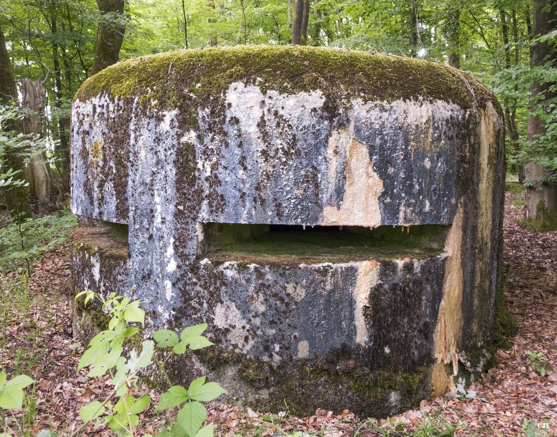 Ligne Maginot - HELLENWALD 5 - (Observatoire d'infanterie) -  - Lia VERMEULEN