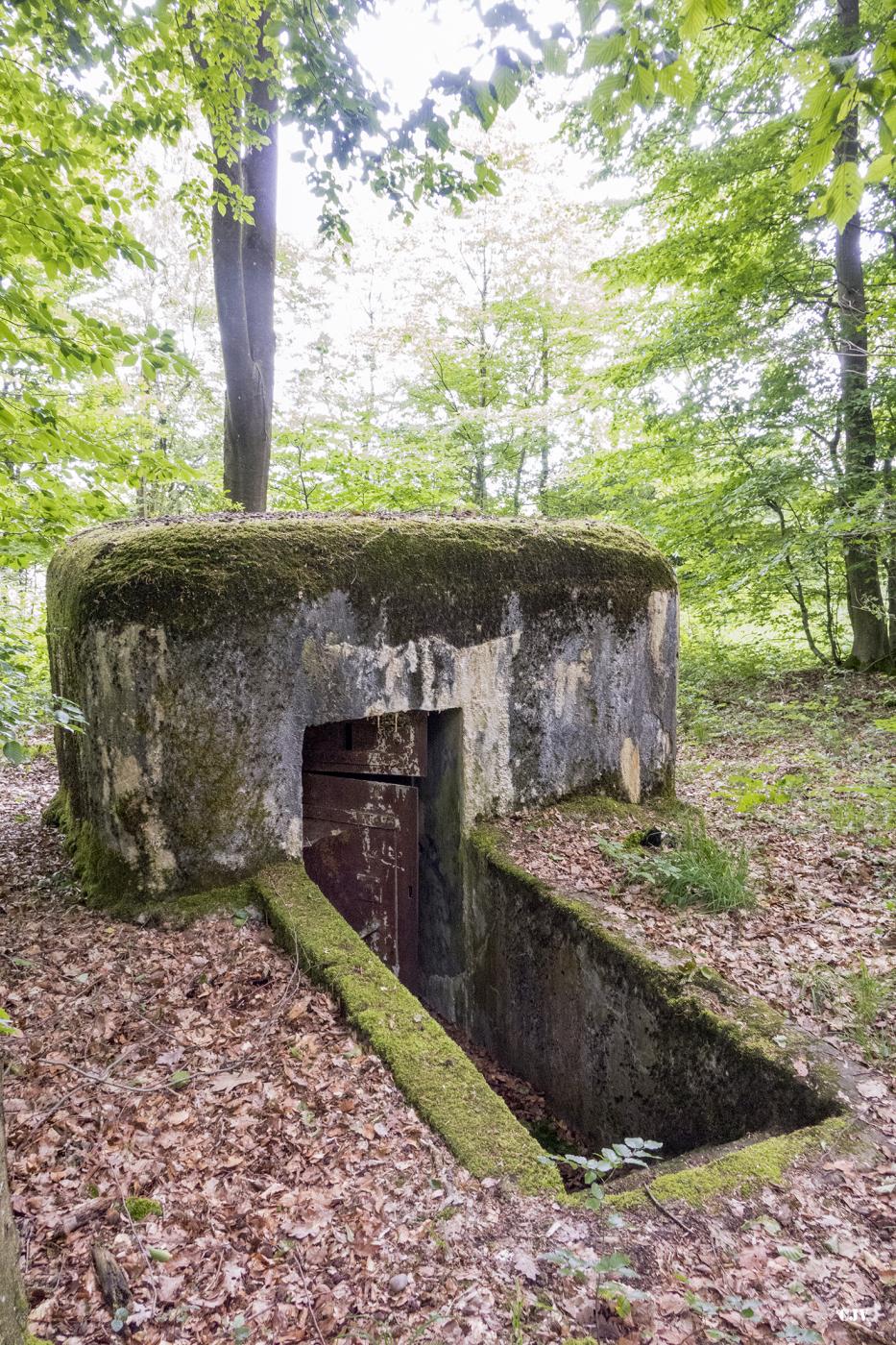 Ligne Maginot - HELLENWALD 5 - (Observatoire d'infanterie) -  - Lia VERMEULEN