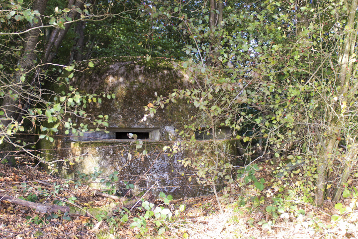 Ligne Maginot - HELLENWALD 6 - (Observatoire d'infanterie) -  - jin jac